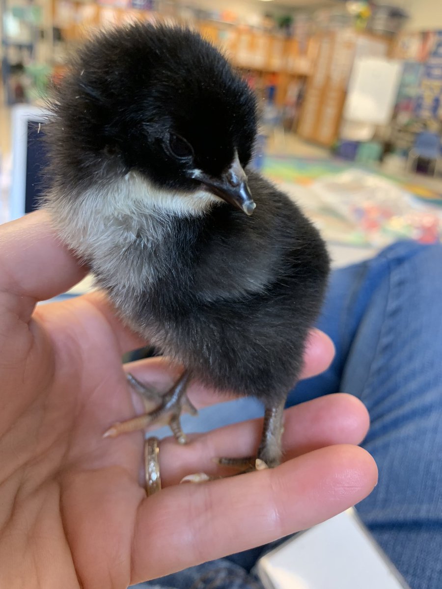 Erica Fleming tweet media