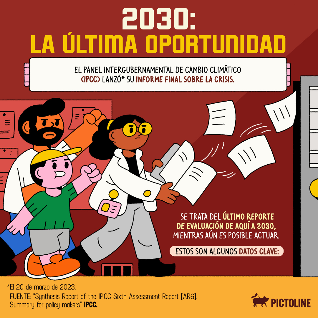 pictoline tweet media
