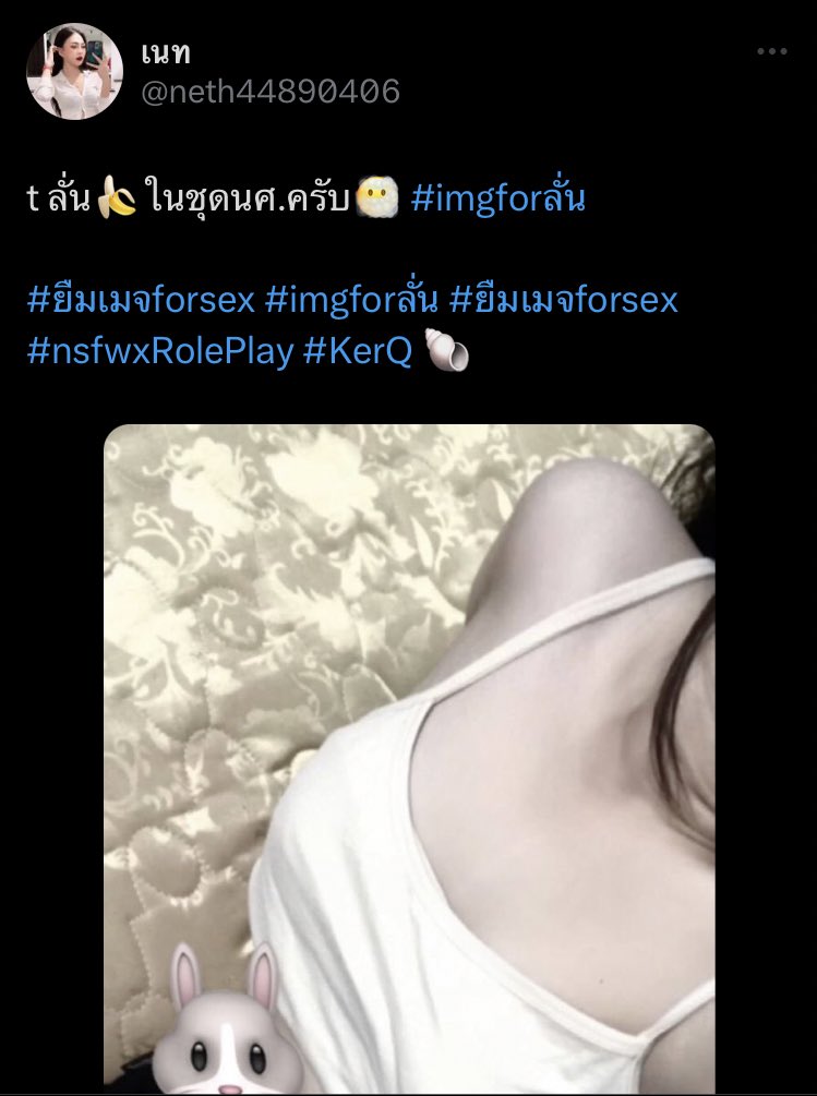 🔗 tweet media