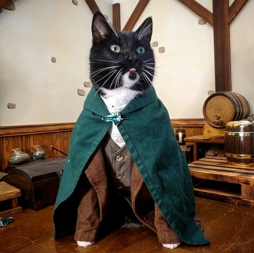 Cat_Cosplay's tweet photo. "I will take it. I will take the Ring to Meowdor..." https://t.co/WFguQgHzRb