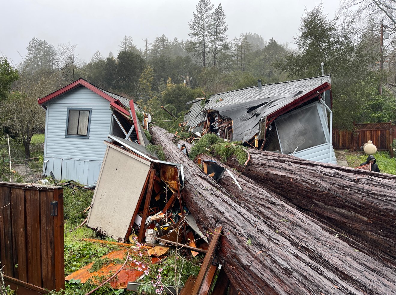 KSBW Action News 8 on Twitter "TREE INTO HOME A high wind event