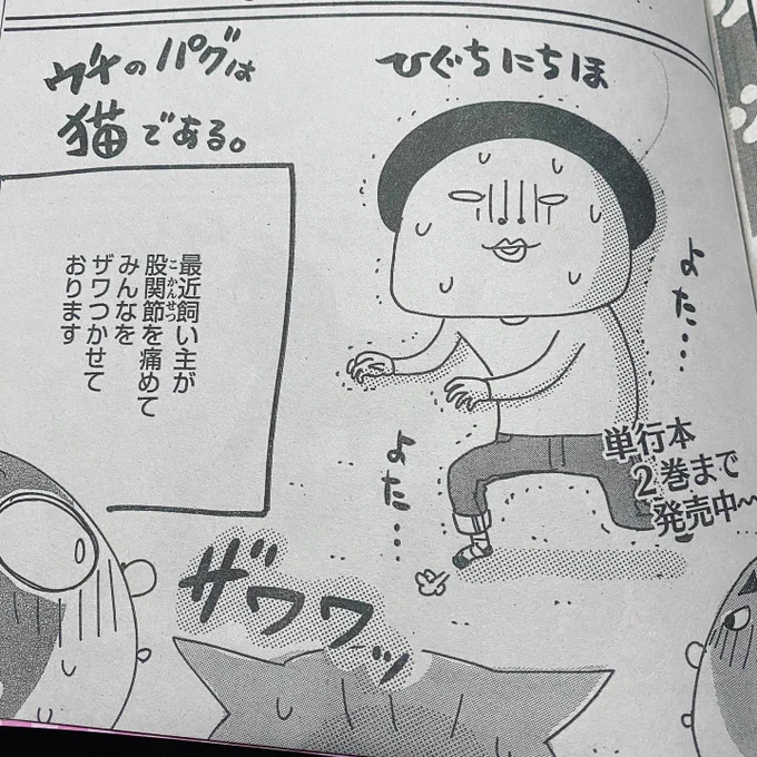 主任がゆく!スペシャル発売しております。ウチパグは出来立てホヤホヤだったこのネタ!(今は随分良くなってますが)よろしくお願い致します。 