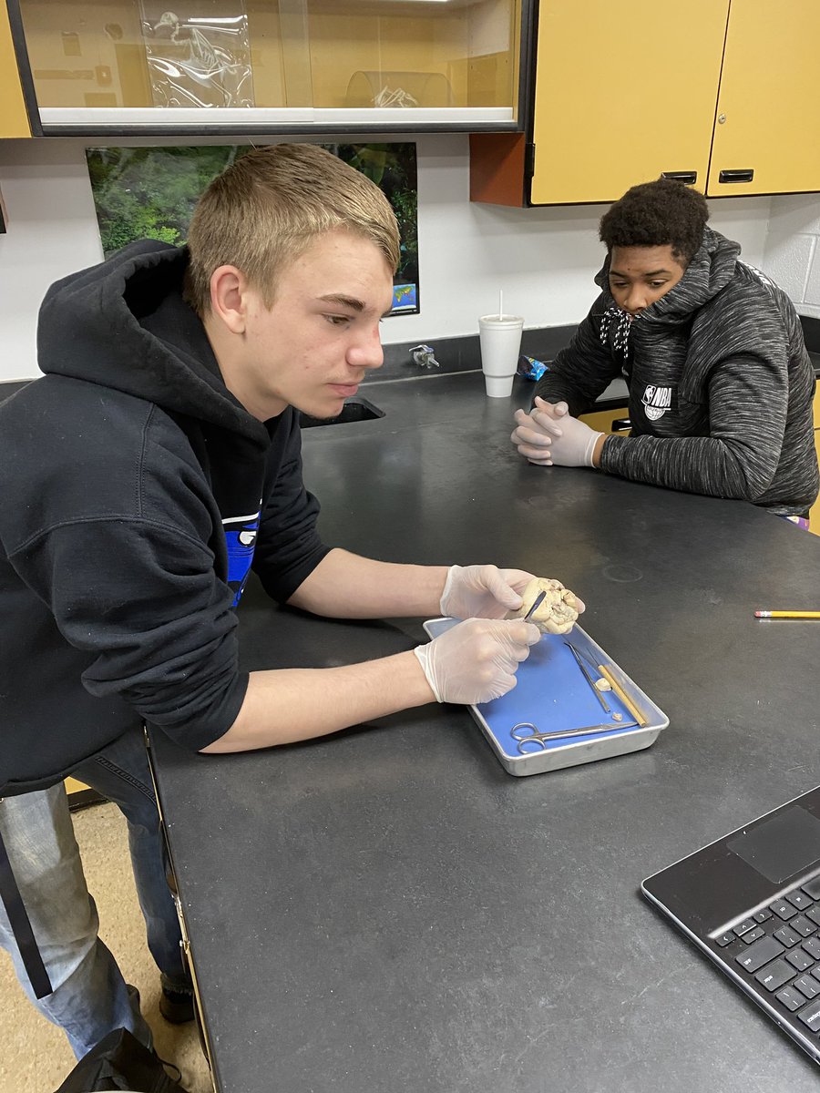 NHSbroadcasting's tweet photo. Our Science classes have been performing labs this week in Mrs. Slifer’s class!  #sciencerocks #labwork #weR309 #PantherNation #309panthernation #dissection #karyotyping https://t.co/GBodtQifbp
