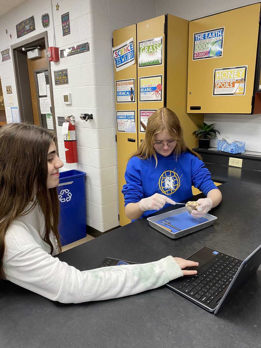 NHSbroadcasting's tweet photo. Our Science classes have been performing labs this week in Mrs. Slifer’s class!  #sciencerocks #labwork #weR309 #PantherNation #309panthernation #dissection #karyotyping https://t.co/GBodtQifbp