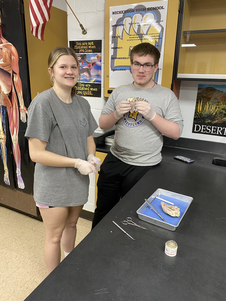 NHSbroadcasting's tweet photo. Our Science classes have been performing labs this week in Mrs. Slifer’s class!  #sciencerocks #labwork #weR309 #PantherNation #309panthernation #dissection #karyotyping https://t.co/GBodtQifbp