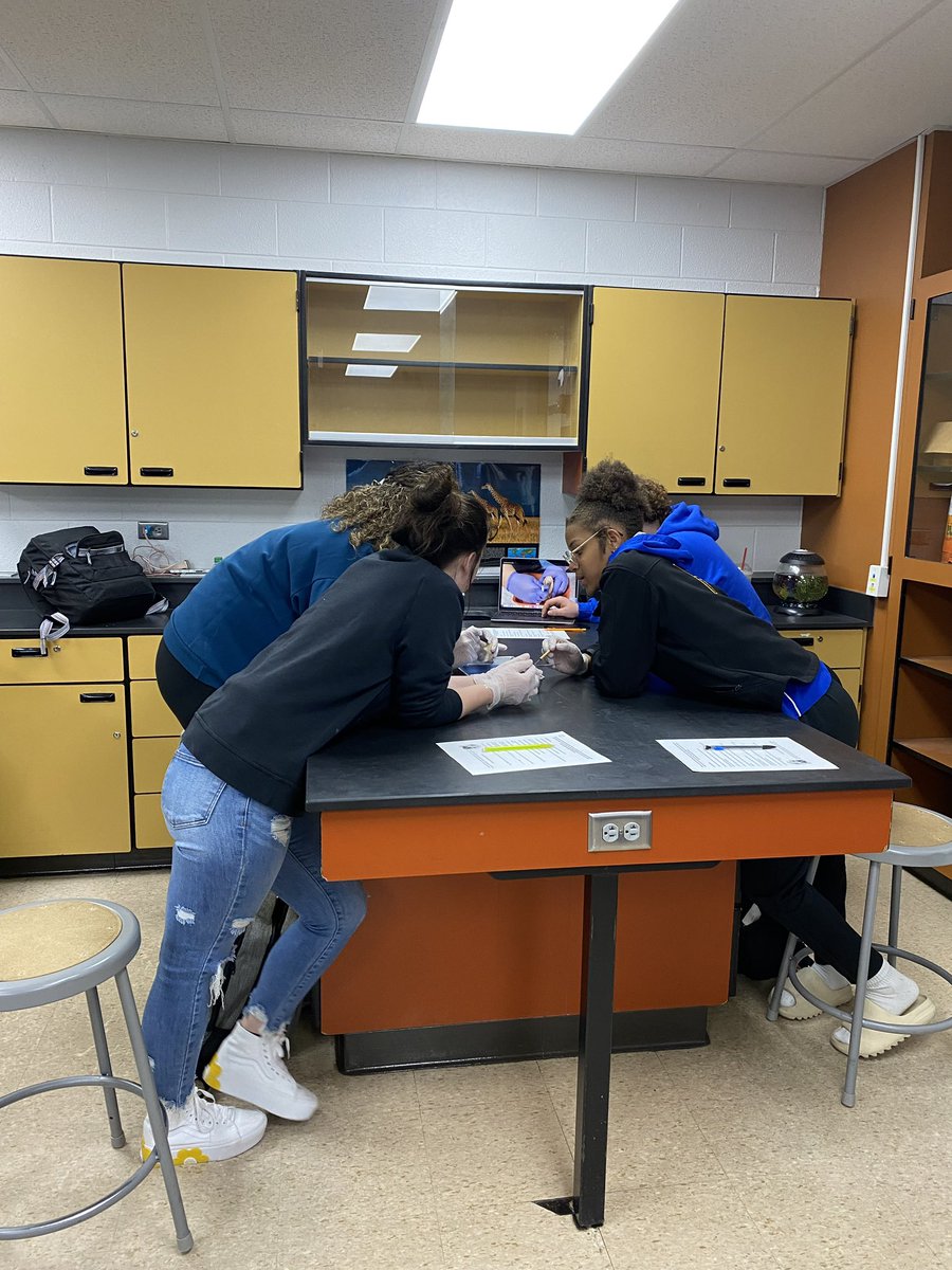 NHSbroadcasting's tweet photo. Our Science classes have been performing labs this week in Mrs. Slifer’s class!  #sciencerocks #labwork #weR309 #PantherNation #309panthernation #dissection #karyotyping https://t.co/GBodtQifbp