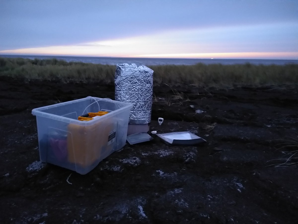 An almost sunrise through the clouds as I carry out my first diurnal measurements of CO2 and CH4 flux.
Aiming to see how plants and microbes respond to changing temperature at night or if something else is a more dominant driver of GHG flux

#peat #GHGflux #PeatTwitter