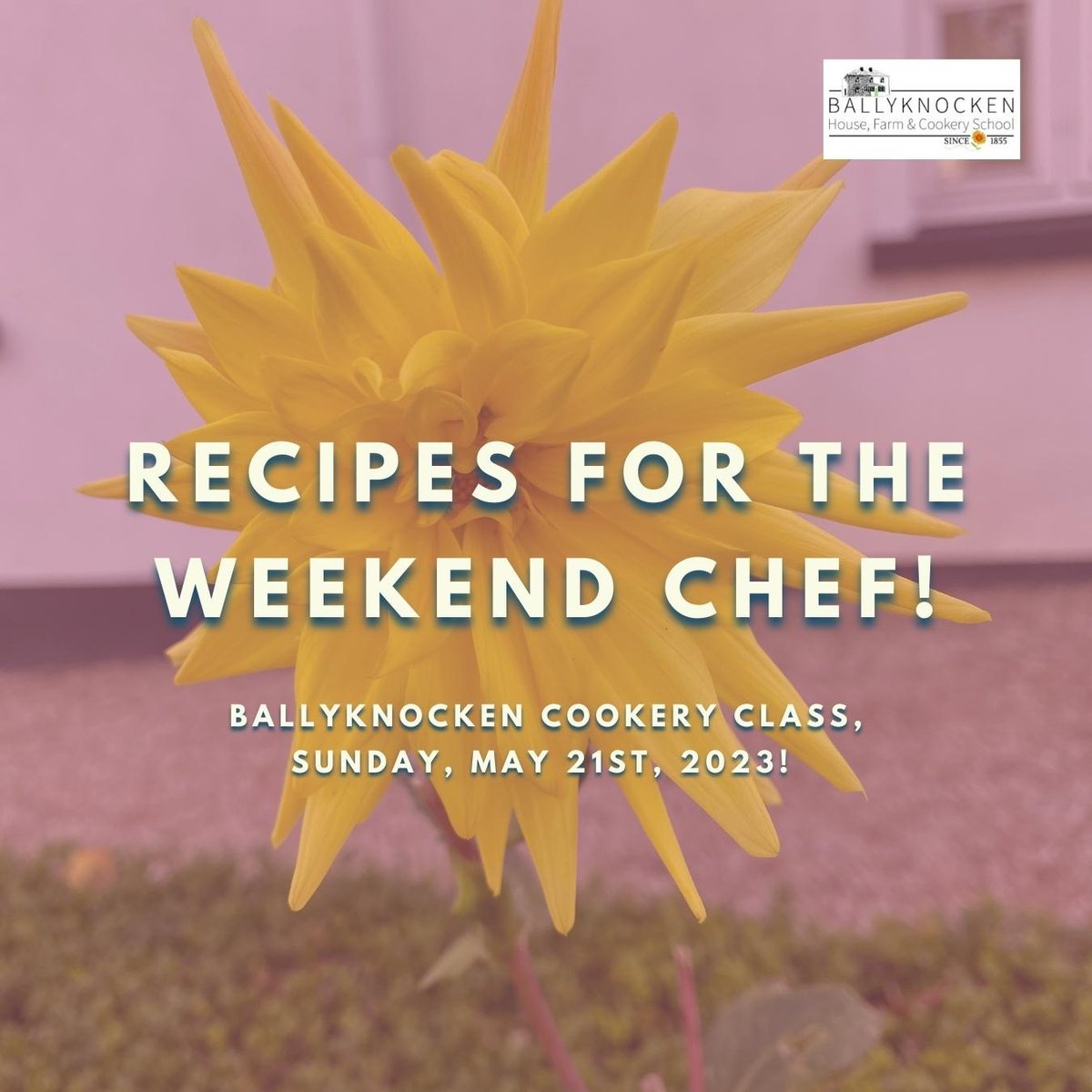 BallyknockenHCS's tweet image. Are you ready to join our Recipes for the Weekend Chef Cookery class in Ballyknocken Cookery School?! 👩‍🍳

Book through the Taplink in our bio or through this link bit.ly/3Z9M4VR 📲

#recipes #weekendchef #cookeryclass #ballyknockencookeryschool #wicklow #ballyknocken