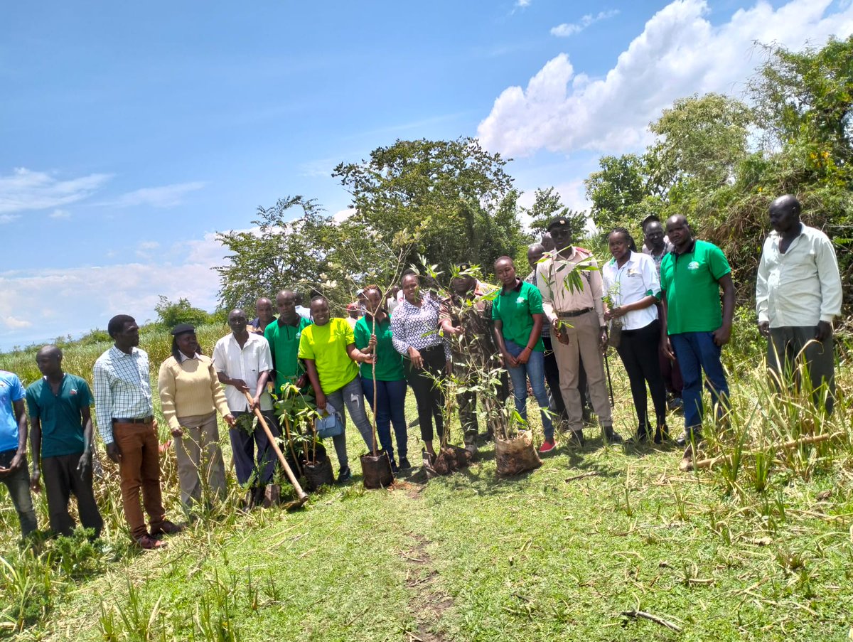 TRANSFO GREEN WORLD tweet media