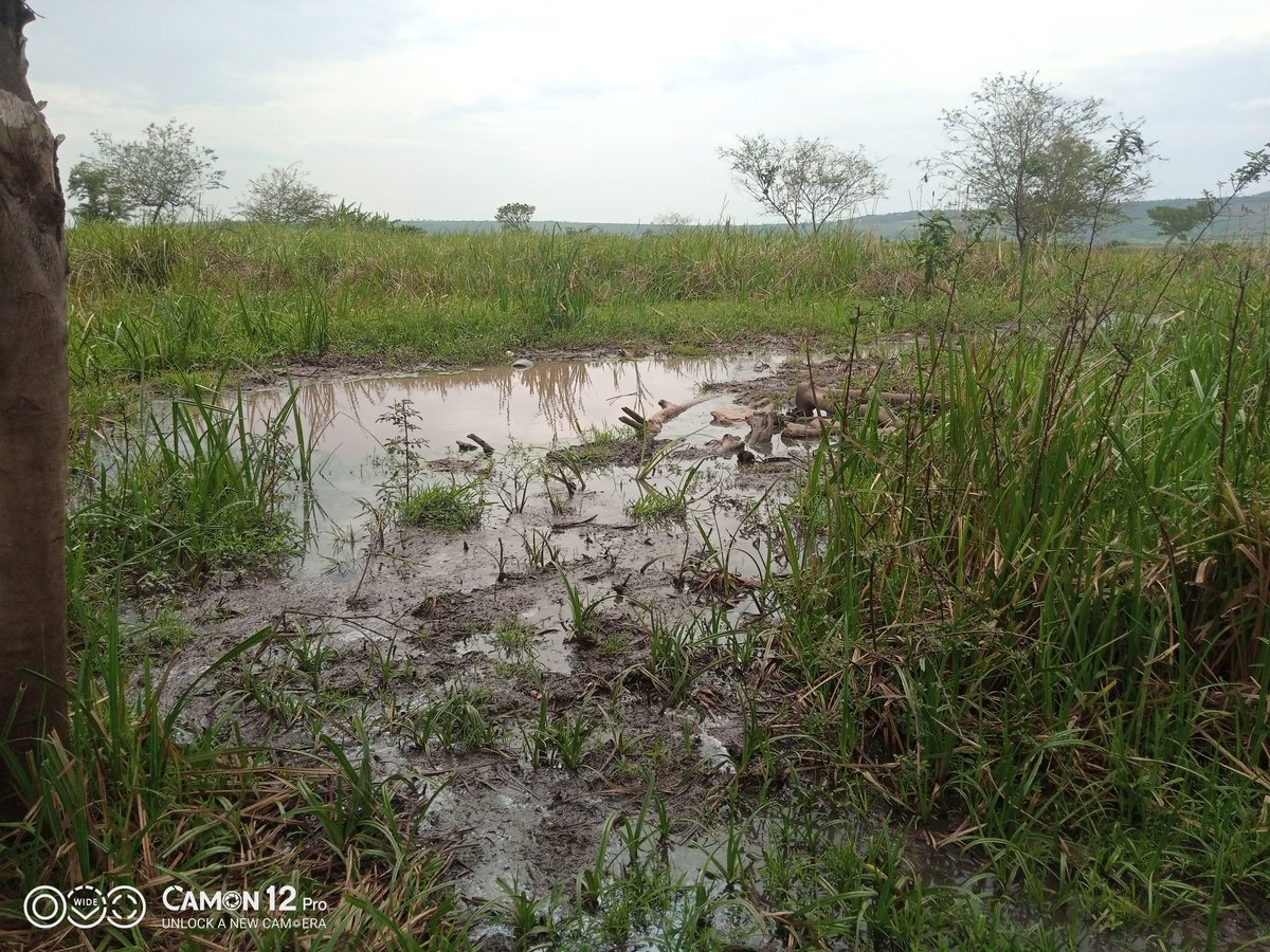 TRANSFO GREEN WORLD tweet media