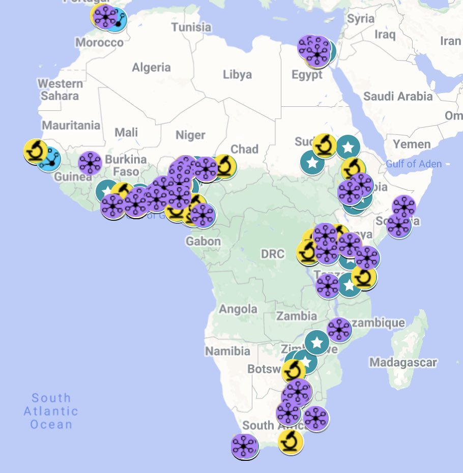 We’ve updated our MAP! 🌍 Over 210 African scientists, microscopists and analysts, and ~100 core facilities or sites listing accessible microscopes, across 21 African countries! Take a look 👀 africanbioimaging.org/microscopy-in-…