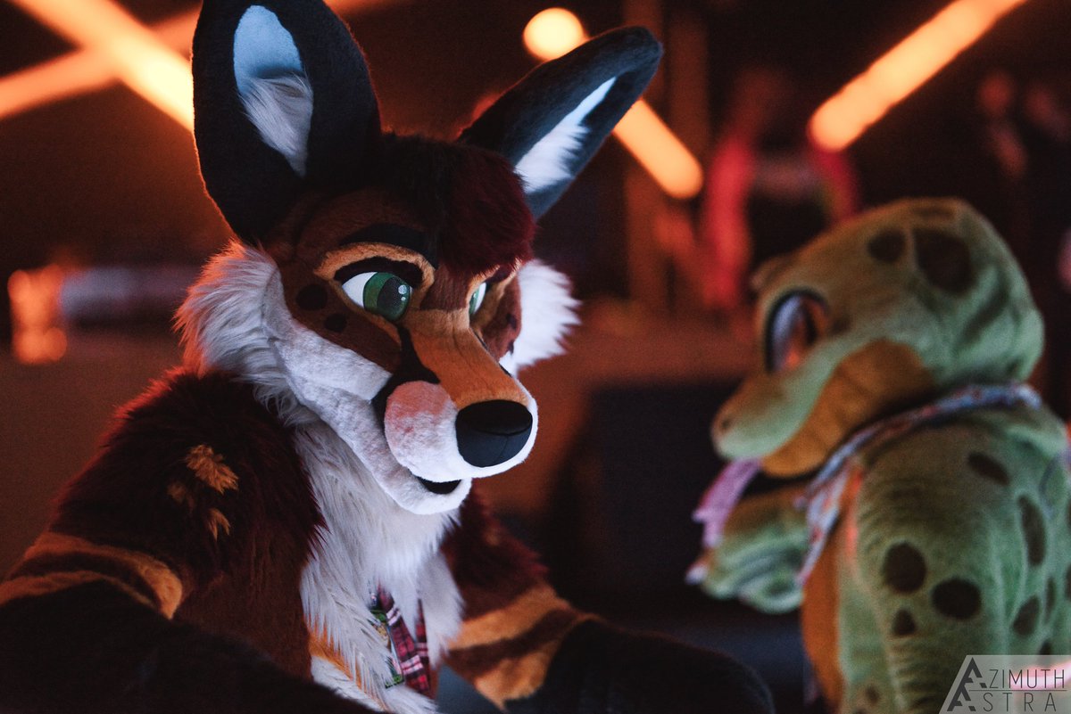 What an amazing time at #furnalequinox2023 this weekend! I met some truly wonderful furs, and caught up with many friends. Thank you to all the staff who made it possible!

📸: <a href="/AzimuthAstra/">Azimuth</a>