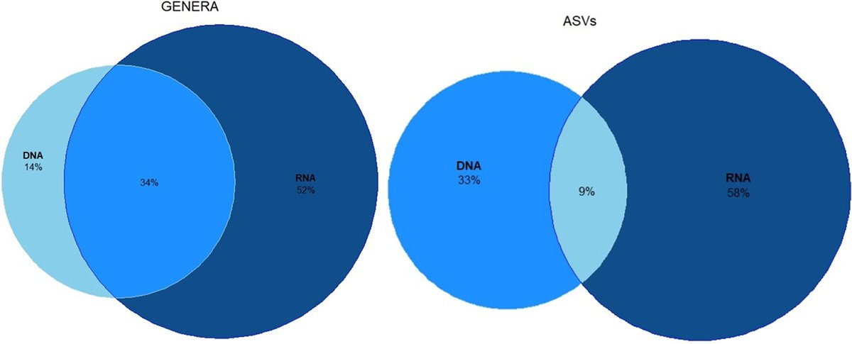 Microbiology Spectrum tweet media