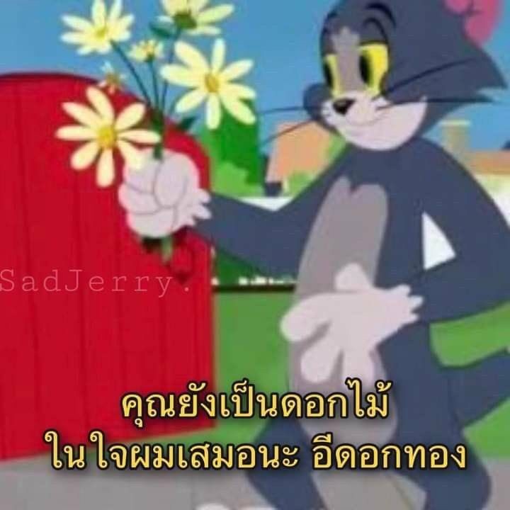 อินทรา💅🏻💅🏻💅🏻 tweet media