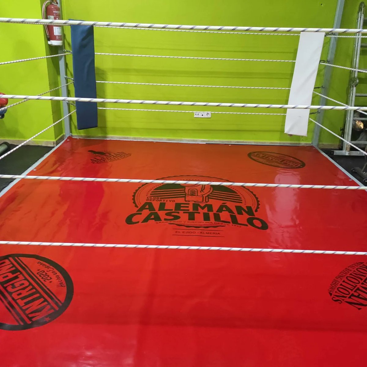 BoxeoAleman's tweet photo. 👏🏽 Ya tenemos casi listo nuestro ring de entrenamiento 🔥

🥊 Buenas sesiones de sparring se van a hacer aquí, gracias a nuestro alumno José por el excelente trabajo

#Boxeo #TeamAleman https://t.co/YwsNEYv58M