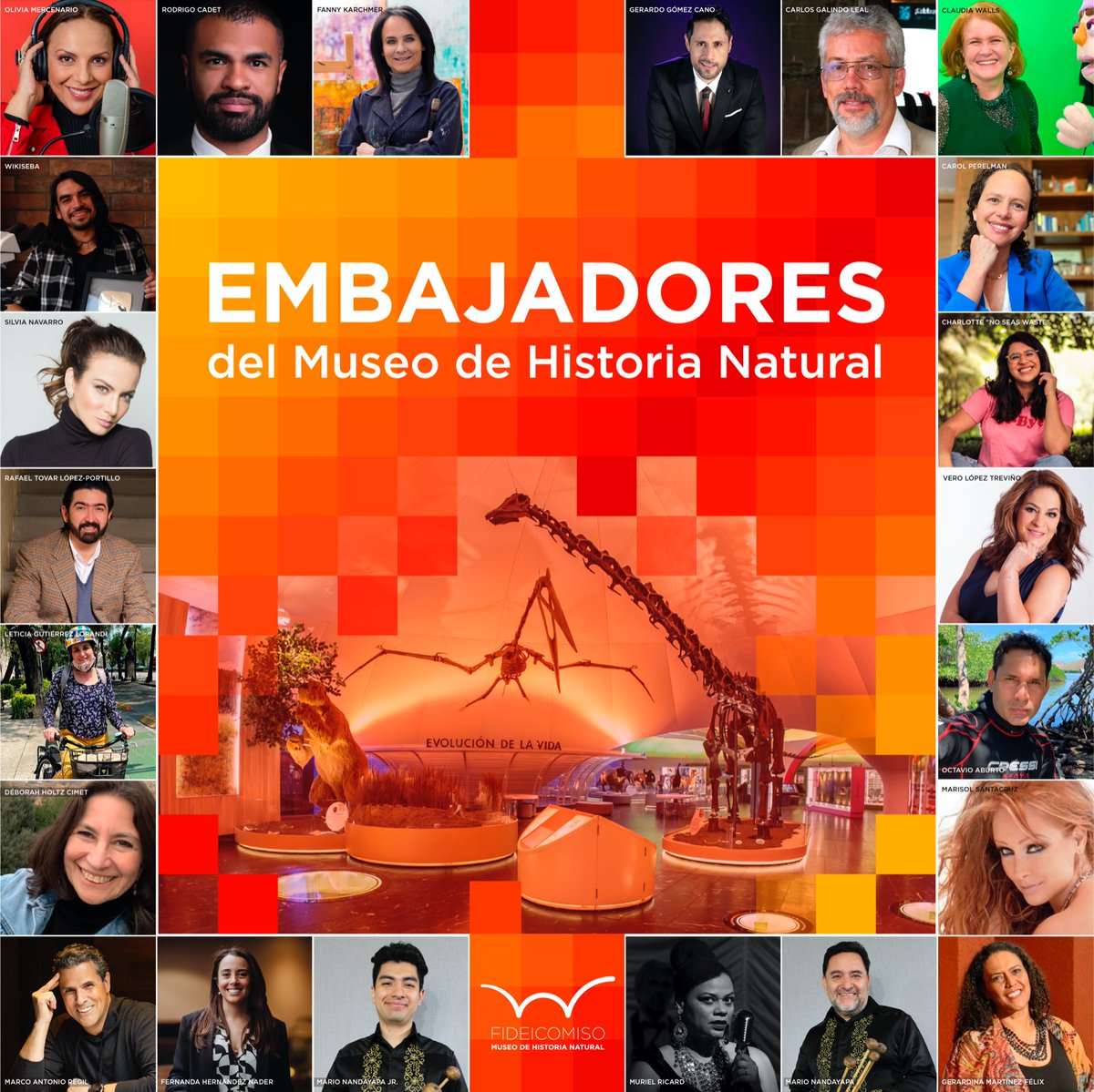 cantoyexisto's tweet photo. Es hora de visitar nuestro hermoso Museo de Historia Natural. ¡No se lo pueden perder! 🦕🦥🐾🐾 https://t.co/fRzGGMzL89