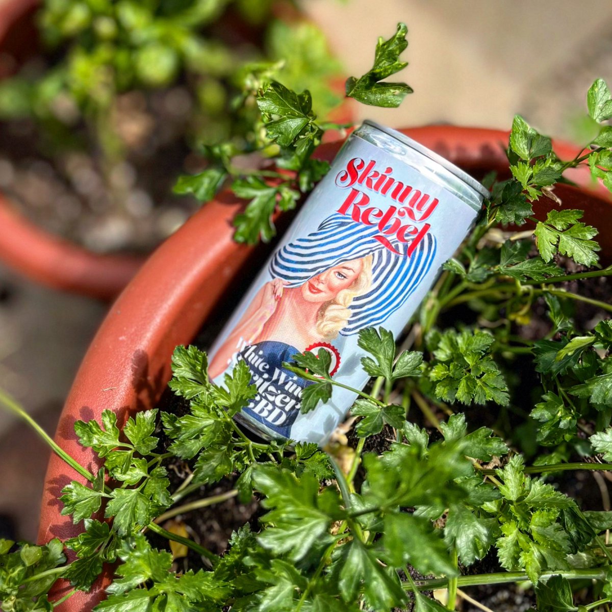 rebelwineuk's tweet photo. Delicious and good for you, you say? Why not try our White Wine Spritzer today - https://t.co/27b4iOMxFq #WednesdayMotivation #WineWednesday https://t.co/yKl0X138Ds