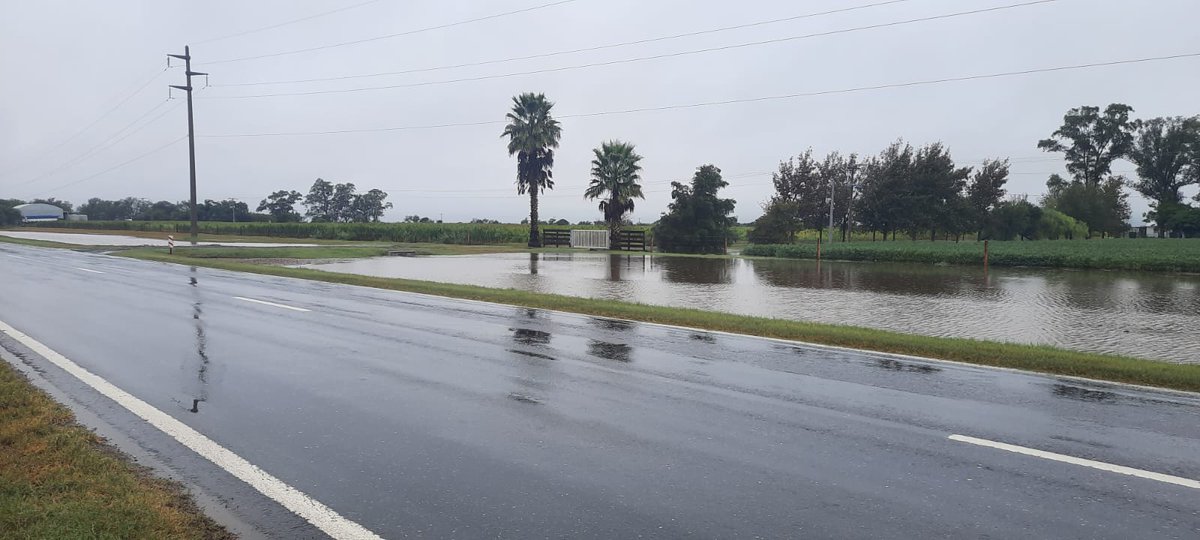 <a href="/ValorASoy/">ValoraSoy</a> <a href="/hhdospierre/">Hector A. Huergo</a> <a href="/JCMolinaHafford/">Juan Cruz MOLINA 🍁🍂🍁</a> <a href="/marcosblanda/">Marcos Blanda</a> <a href="/fernandosibilla/">Fernando Sibilla</a> <a href="/victoria_ricca/">Maria Victoria Ricca</a> <a href="/PromocionARG/">Inversión y Comercio</a> <a href="/ONU_es/">Naciones Unidas</a> <a href="/MinAgriCba/">Ministerio de Bioagroindustria de Córdoba</a> <a href="/BCCBA/">Bolsa de Cereales de Córdoba</a> <a href="/ACSOJA_Arg/">ACSOJA 🌱</a> Por fin llego la tan ansiada agua 💧 justo hoy para el #DiaMundialDelAgua 
Imagen de hoy en Los Almendros