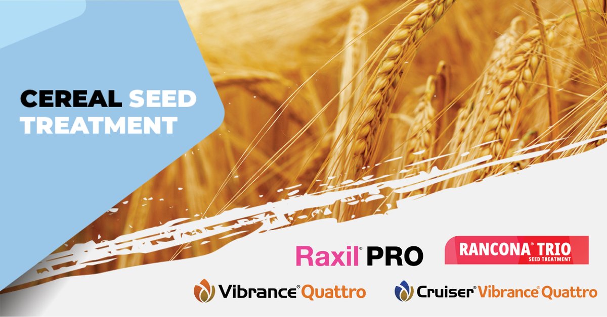 JACKfromTHERACK's tweet photo. Seed Quality matters. Treating your seed ensures protection for good germination, emergence and crop establishment. Contact your Rack Retail to determine which cereal seed treatment is best on your farm.

https://t.co/tCetQdPfzX https://t.co/pLwwJIZD91