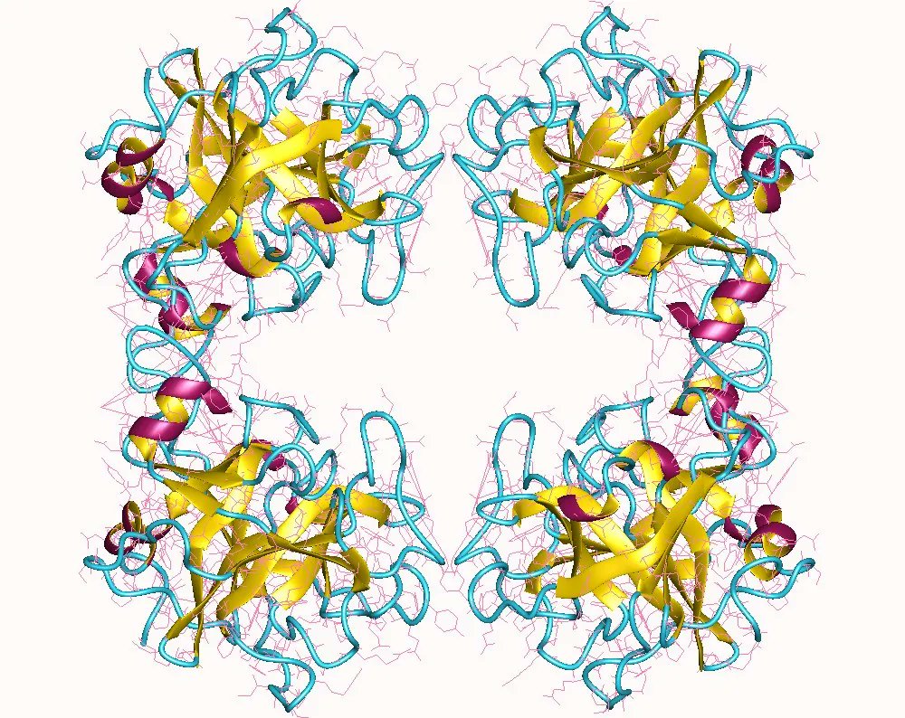 Aller_MD's tweet photo. Decreased #tryptase levels are associated with resolution of chronic spontaneous #urticaria in children, according to study results presented at the American Academy of Dermatology (AAD) Association 2023 conference. https://t.co/BIo9cO7vU9 https://t.co/BUx9BGx9dT