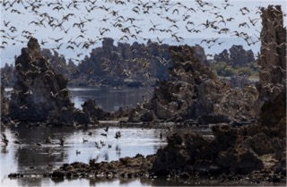 BRINK News (@brinknewsnow) on Twitter photo In a recent #podcast <a href="/AltamarPodcast/">Altamar Podcast</a>, Collin O’Mara, CEO of the National #Wildlife Federation, discussed the economic and social impact of the #biodiversity crisis. Learn how serious the threat may be: bit.ly/3FJBo9l #extinction In a recent #podcast <a href="/AltamarPodcast/">Altamar Podcast</a>, Collin O’Mara, CEO of the National #Wildlife Federation, discussed the economic and social impact of the #biodiversity crisis. Learn how serious the threat may be: bit.ly/3FJBo9l #extinction