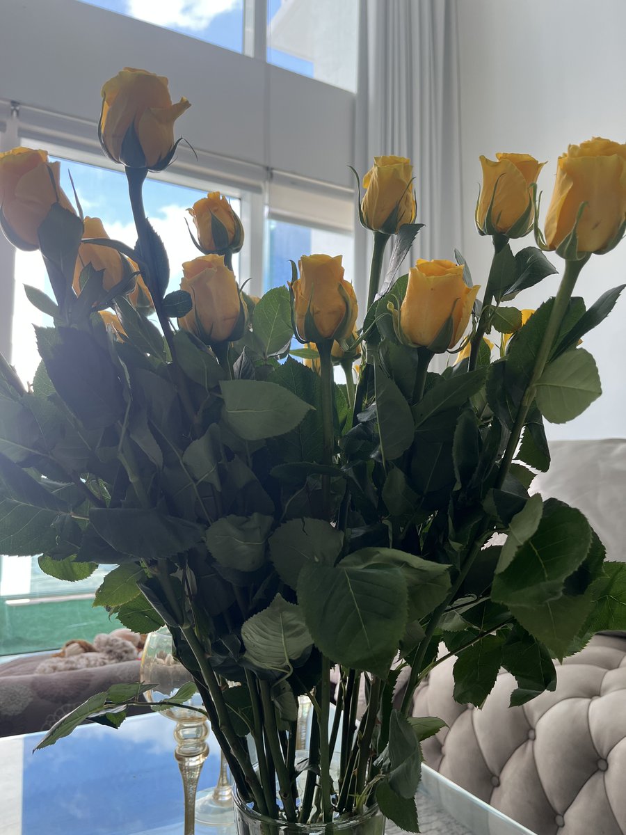 ilarasa's tweet photo. Just when I thought my day couldn't get any better, my special friend surprised me with the most gorgeous long stem roses! πΉβ€οΈ Grateful for their thoughtful gesture and the wonderful time we spent together today. π #SpecialFriend #LongStemRoses #Grateful #HappyHeart" πβ¨ https://t.co/KobC8nzoh2