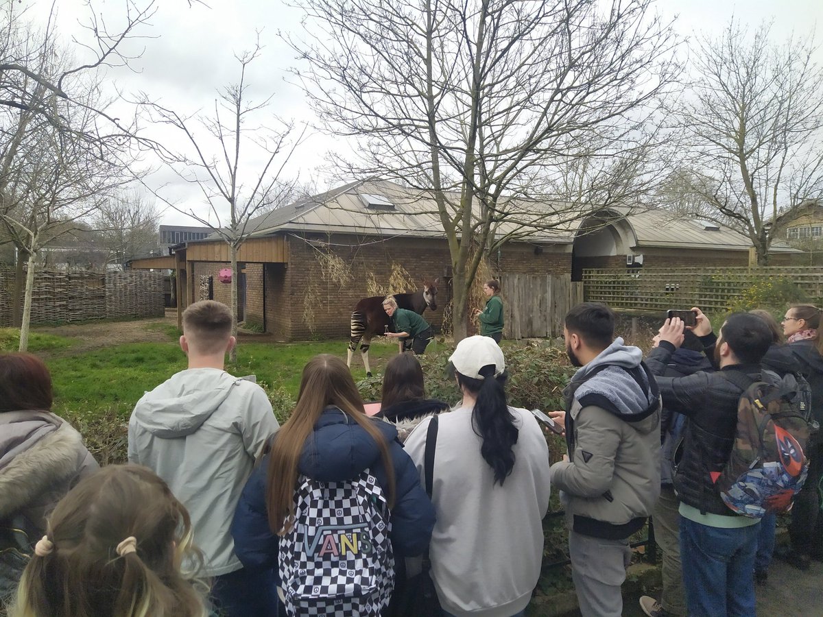 ZooBio students, Charlotte James and me just had a great day @zsllondonzoo with lots of animal training insight from Jim Mackie and his team! #ZSLLondonZoo #NTU_ARES #Animaltraining