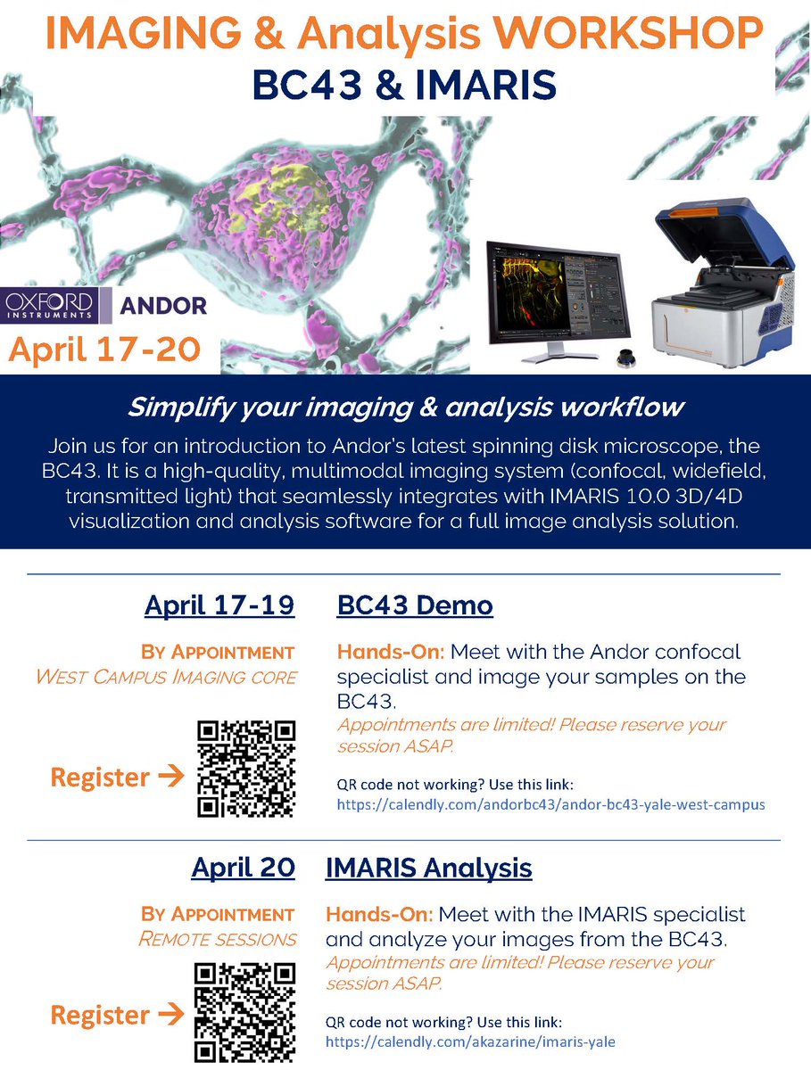 Chris Incarvito tweet media