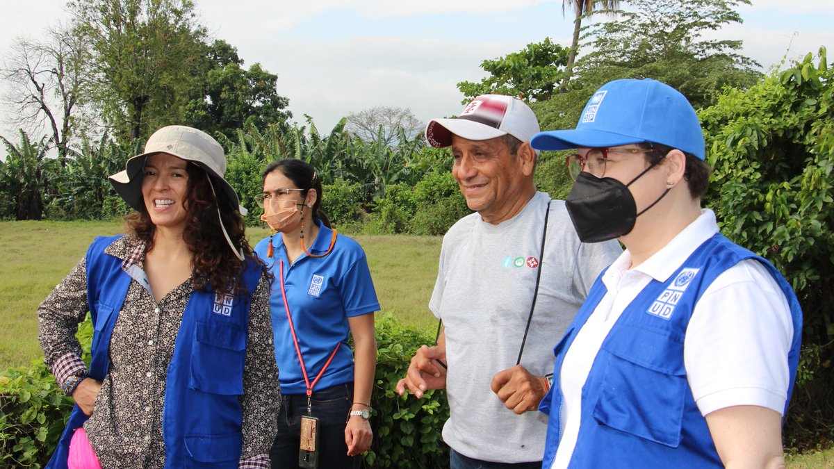 PNUDHonduras's tweet photo. 📍 Equipo de 4⃣0⃣ personas de instituciones locales y nacionales levanta datos con herramienta digital en Villanueva, Cortés, siguiendo metodología #HBDA para la evaluación post desastre de daños en hogares y edificios diseñada por el @pnud. 

Más info: https://t.co/AyeeOjO8VX https://t.co/b5BRY3dkv2