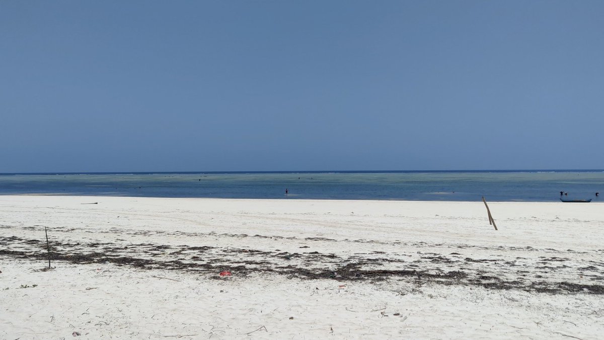 shoebahh's tweet photo. Zanzibar, Tanzania. Shun your watch and bury your phone type of place. https://t.co/jS9lDU8pys