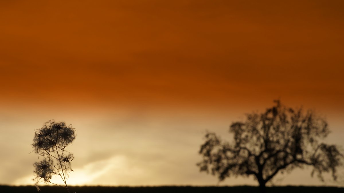 wiesenbacher's tweet photo. .:: FEIERABEND ::.
Hier noch was für Euch
#photography #sunset #photo #landscapephotography #sunsetphotography #micpic #ThePhotoHour #picofthday
@FotoVorschlag @BraydenCreation @VisualsbySauter https://t.co/wrxwtS6Lhg