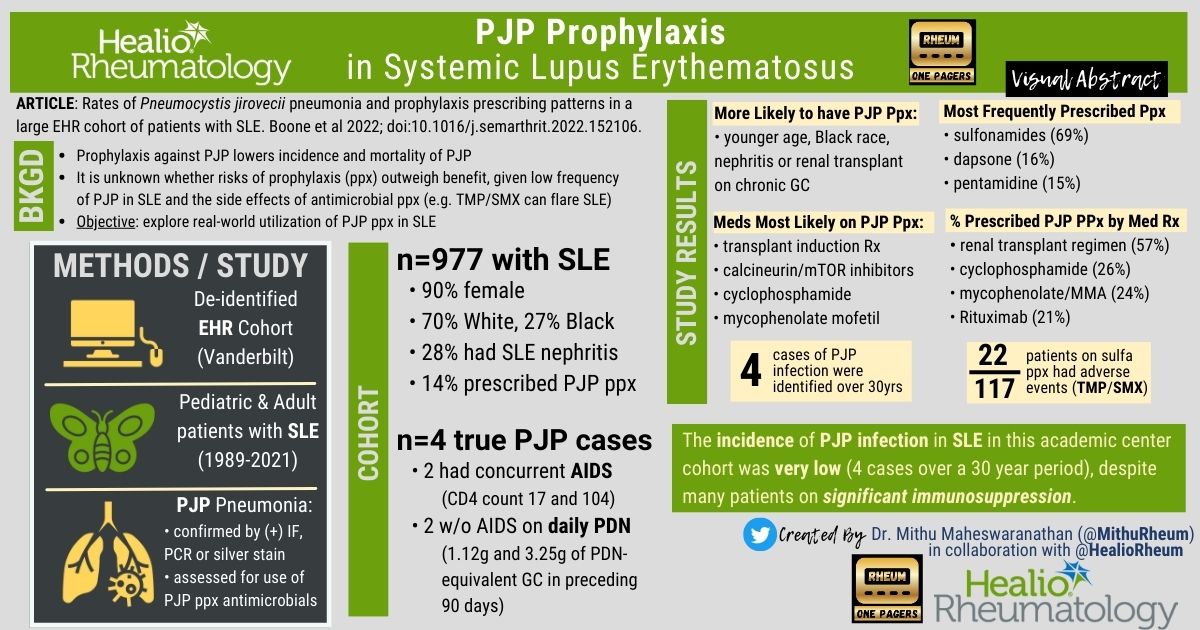 HealioRheum's tweet photo. Check out this new Visual Abstract in collaboration with @RheumOnePagers:
Is PJP Prophylaxis overprescribed in patients with SLE on immunosuppressant medications? 
 @BarnadoLab #RheumTwitter #IDTwitter #PulmTwitter @MithuRheum https://t.co/CZ7CR5rToQ