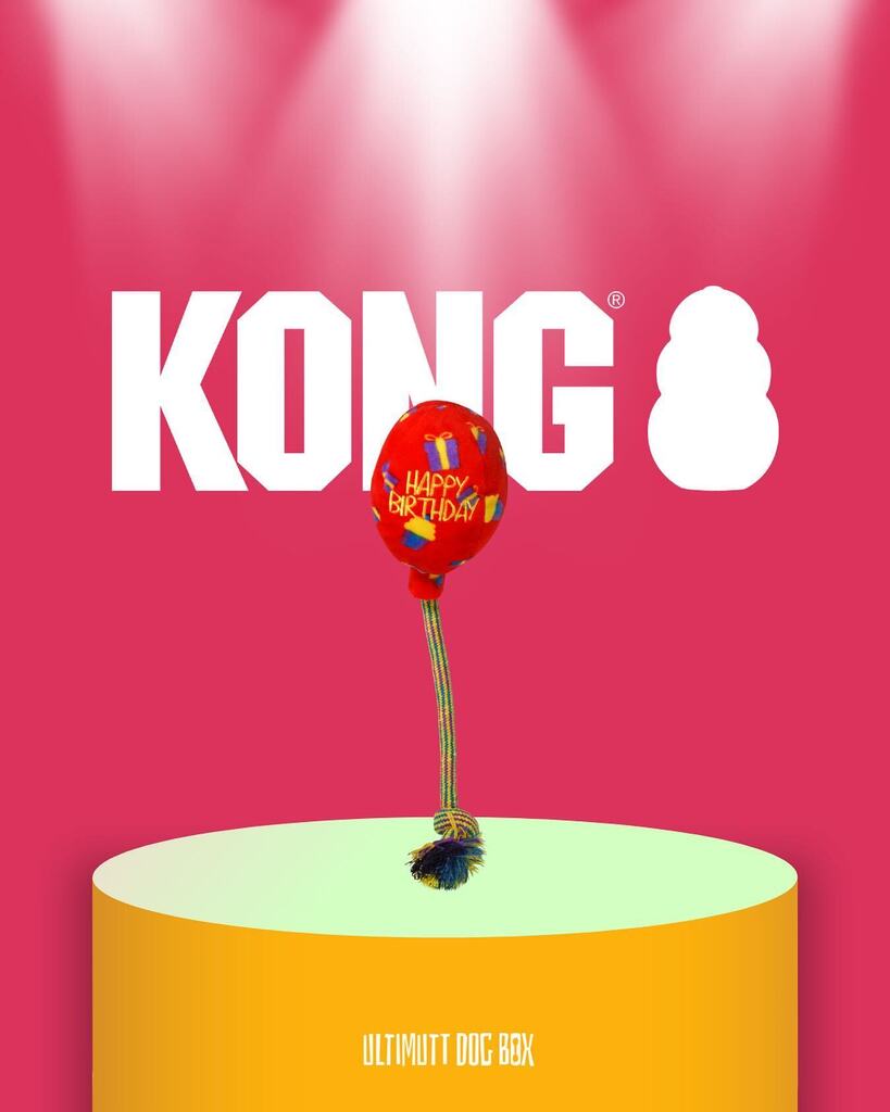 🌟 SUPPLIER SPOTLIGHT 🌟

Playing fetch has never been more fun with the Kong Company! 🐶💥🎾

Their durable and interactive toys keep your furry friend entertained for hours on end.

#KongCompany #DogToys #PlaytimeFun #DurableToys #ChewersWelcome #ultimuttdogbox #dogsubscrip…