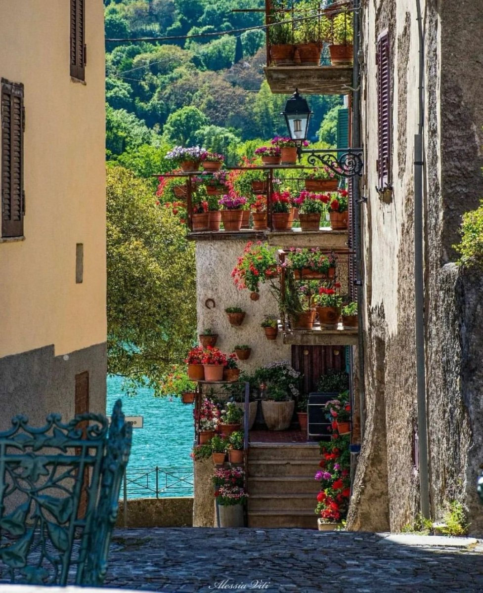 visit_lazio's tweet photo. Benvenuti a #CollediTora, incantevole borgo ai piedi del #MonteNavegna dove potrete immergervi nella storia e bellezza della natura tra le vie lastricate del centro storico e acque cristalline del #LagodelTurano
📸 Ig ale_ssietta81
#VisitLazio #LazioEternaScoperta #LazioIsMe https://t.co/q0dP3VoQEl