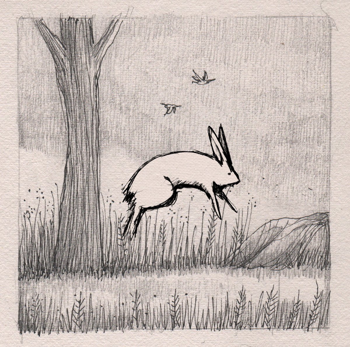 JonCarling's tweet photo. startled rabbit https://t.co/64dMm7m0tm