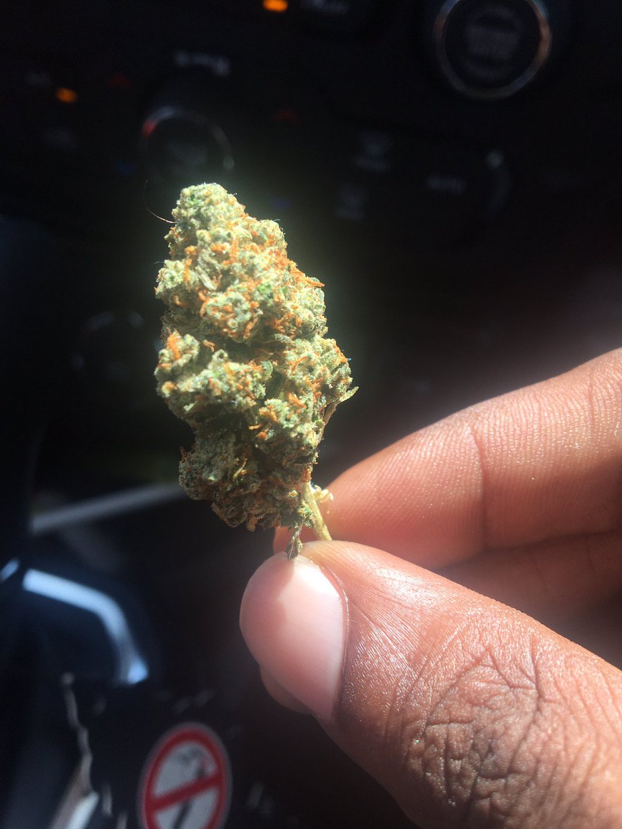 214pat_'s tweet photo. Gas on deck and percs and xo #dtxplug #dfwplug #arlingtontxplug #forthworthplug https://t.co/lWJqexdxuq