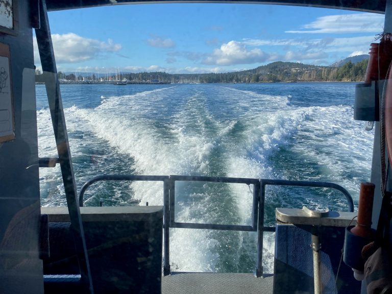 natureforall's tweet photo. 🛥🦦 New blog! For #WorldWaterDay let's look back at some post @IMPAC5Canada reflections. A group of people attending #IMPAC5 explored the @GulfIslandsNPR and learned about Indigenous leadership and traditional methods!⬇
https://t.co/EST92cgQbB 
@IUCN_WCPA @UN_Water @ParksCanada https://t.co/N1sKLtB8dr