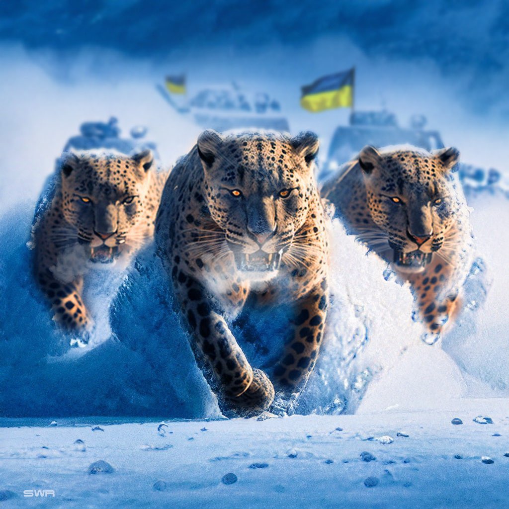 NafoChristine's tweet photo. @Ingek123 Was haben die da modernisiert? Den Anlasser ? ๐ das Teil ist nur fรผr eins gut , Futter fรผr die Leoparden #theleopardsarefree #runorcrun #PutinIsaWarCriminal #chinasupportswarcriminal #chinasupportsterrorists #fckchina #fckputin #westandwithukraine ๐บ๐ฆ๐บ๐ฆ๐ฏ๐ต https://t.co/5fxm5GF3uQ