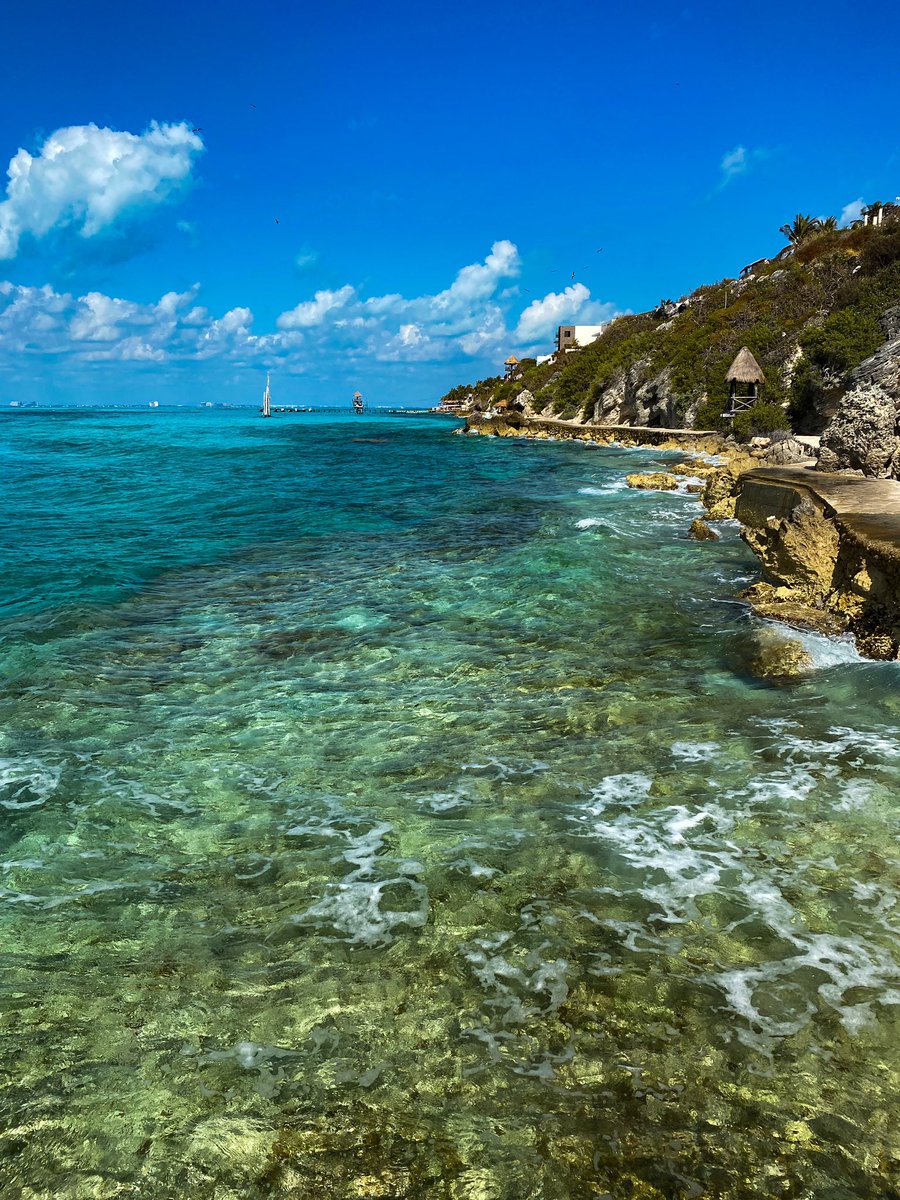 DestinTurquoise's tweet photo. #Caribbean #destinationturquoise #dreamlife #heavenonearth #islamujeres #islandvibes #Mexico #paradise #oceanview #puntasur # https://t.co/78720F63S0