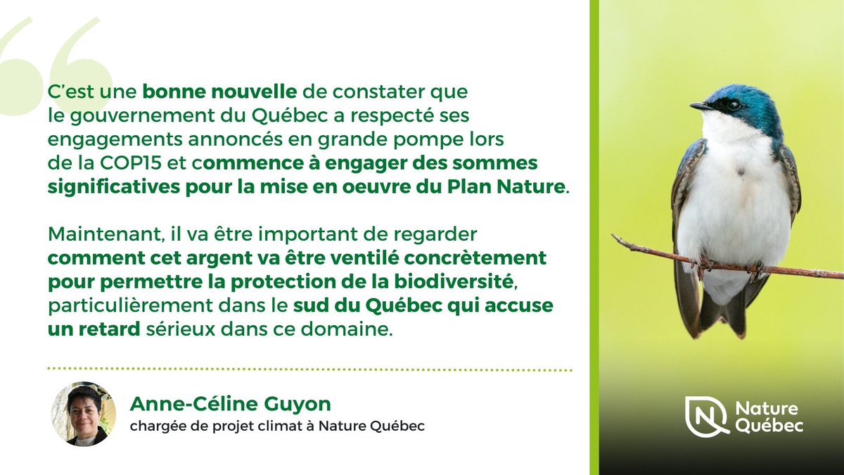 NatureQuebec's tweet image. RÉACTION | Le budget du Québec est prometteur pour le Plan Nature, espérons que le sud du Québec ne sera pas oublié. #BudgetQc2023 #polqc