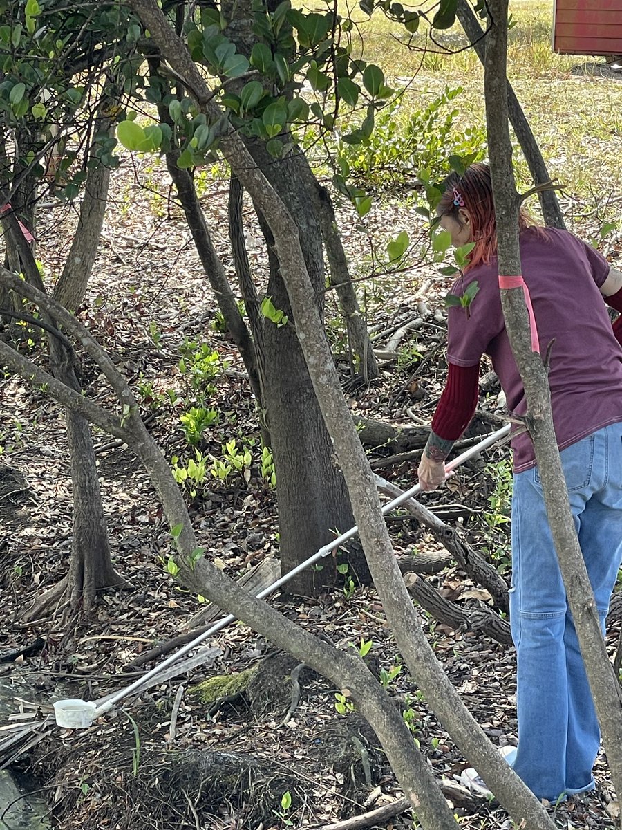 ProfB_Science's tweet photo. @BrowardCollege it’s that time@of year again when the @BCEnvirSci MedVet students learn mosquito 🦟 surveillance. Love active learning! EnvSci BS degree students. @bc_science_well @eventsatBC @BrowardCTEL @BrowardSci @BrowardSTEM @BCCentralSL  @iayala @trishDREAM @MedVet_Ent https://t.co/u4S4aYfcqn