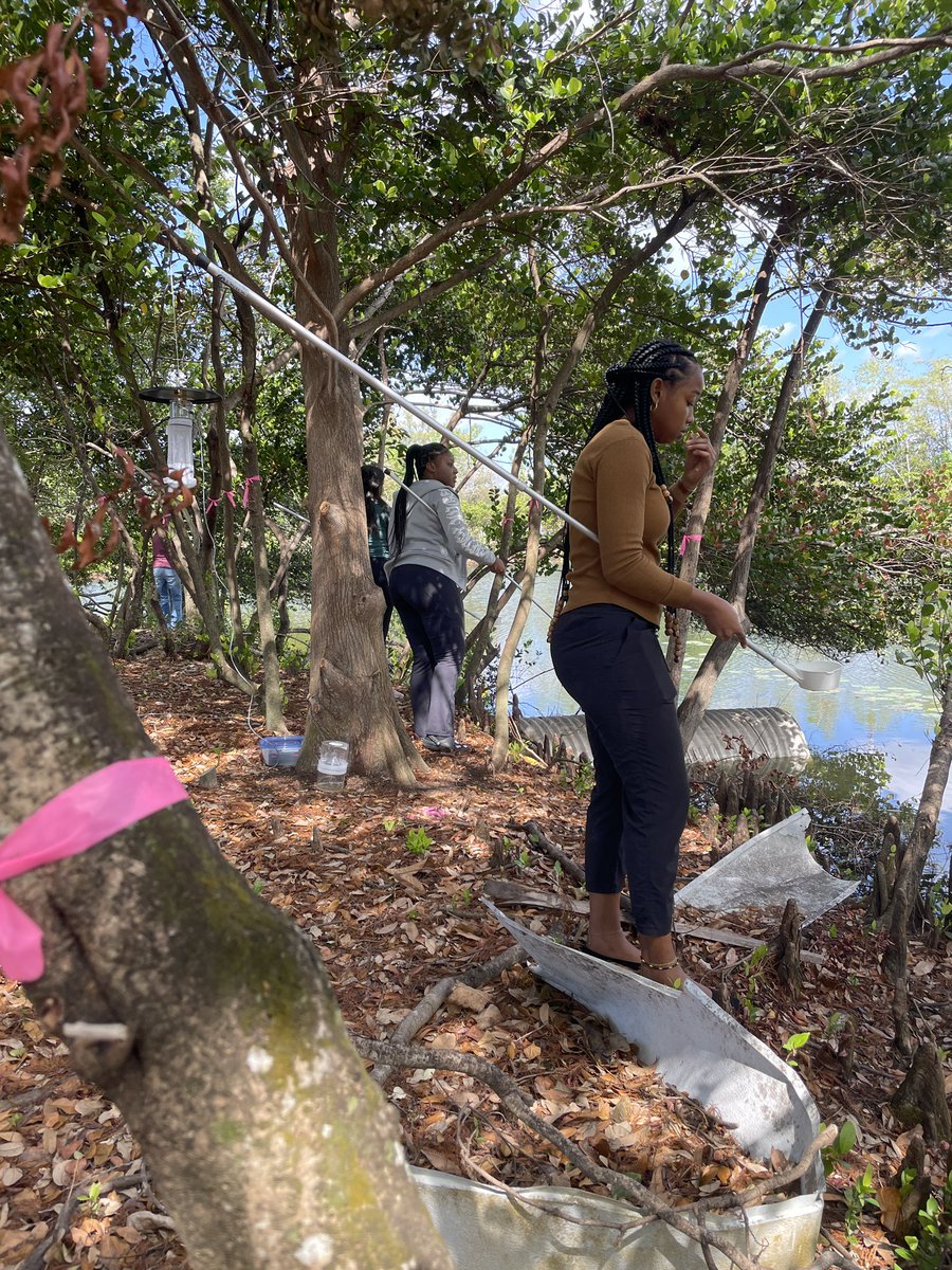ProfB_Science's tweet photo. @BrowardCollege it’s that time@of year again when the @BCEnvirSci MedVet students learn mosquito 🦟 surveillance. Love active learning! EnvSci BS degree students. @bc_science_well @eventsatBC @BrowardCTEL @BrowardSci @BrowardSTEM @BCCentralSL  @iayala @trishDREAM @MedVet_Ent https://t.co/u4S4aYfcqn