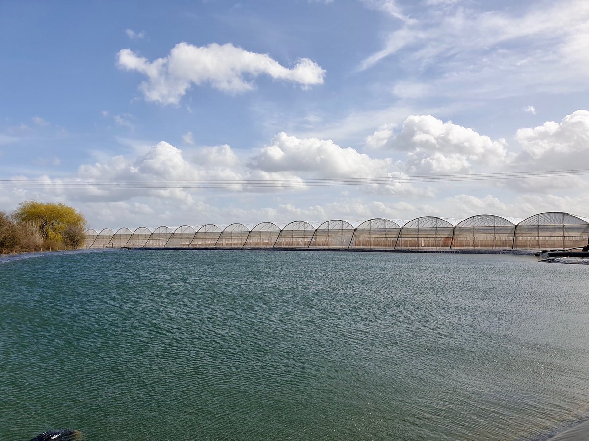 Today is #WorldWaterDay a day dedicated to raising awareness and inspiring action to tackle the water crisis 💧

Here at Valefresco we have a total of 7 reservoirs across all of our sites with water collected from rainfall and boreholes 🌧️