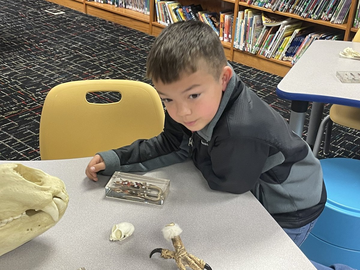 Heather McCullar tweet media