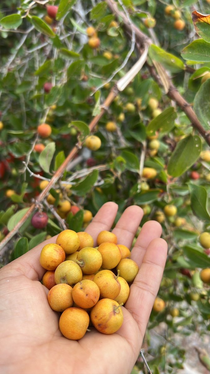 الجميع يبحث عما يفقده .. انشغل بنفسك واحمد الله على نِعمه عليك