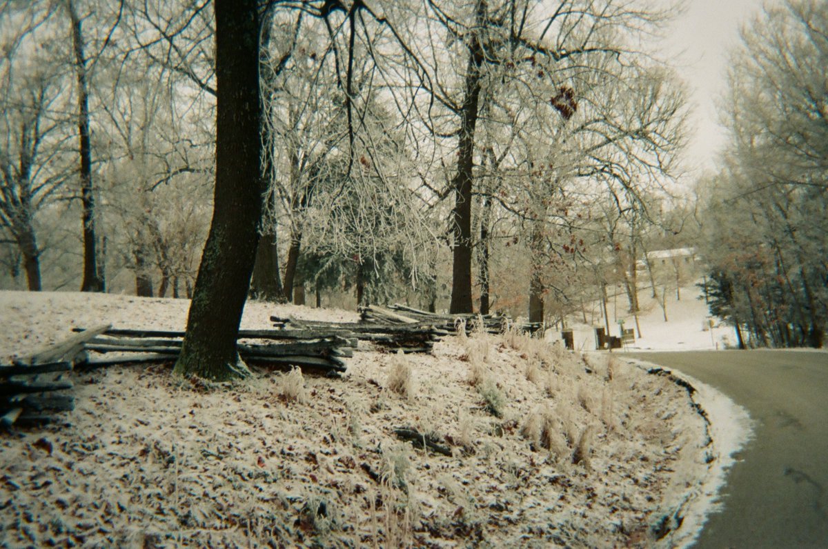 The people have spoken in gm! 🙏❤️❄️🎞️📸

'Snowy Sidestreets' is the latest mint in #PBonFilm

All 1/1's shot on disposable camera while out birding
🔗👇
