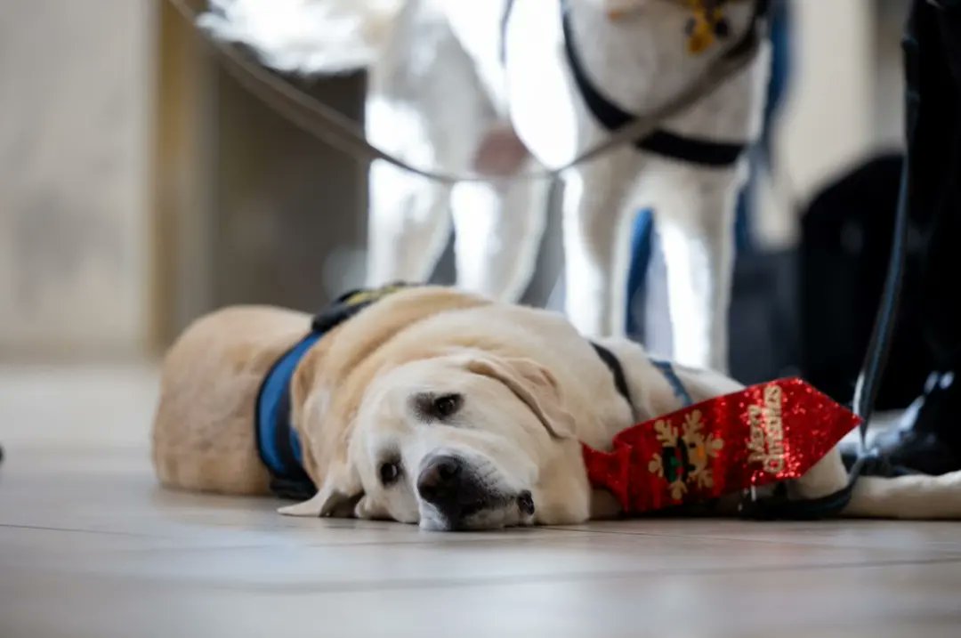 Fav spot on campus 

#WVUDayofGiving <a href="/wvudavis/">WVU Davis College</a>