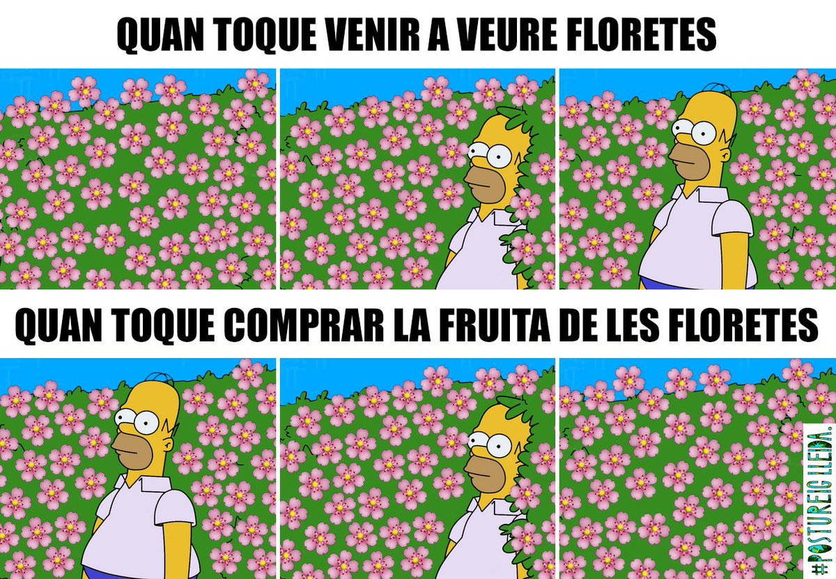 Si veniu a veure la floreta, després compreu la fruiteta, feu lo favor. #FeuLoFavor #FruitaDeLleidaChallenge