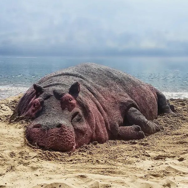 Artist Andoni Bastarrika creates realistic animal sculptures made of sand that are so lifelike you'll do a double-take when you see them. Scroll through to see more of his amazing work. trib.al/vyvh2r6