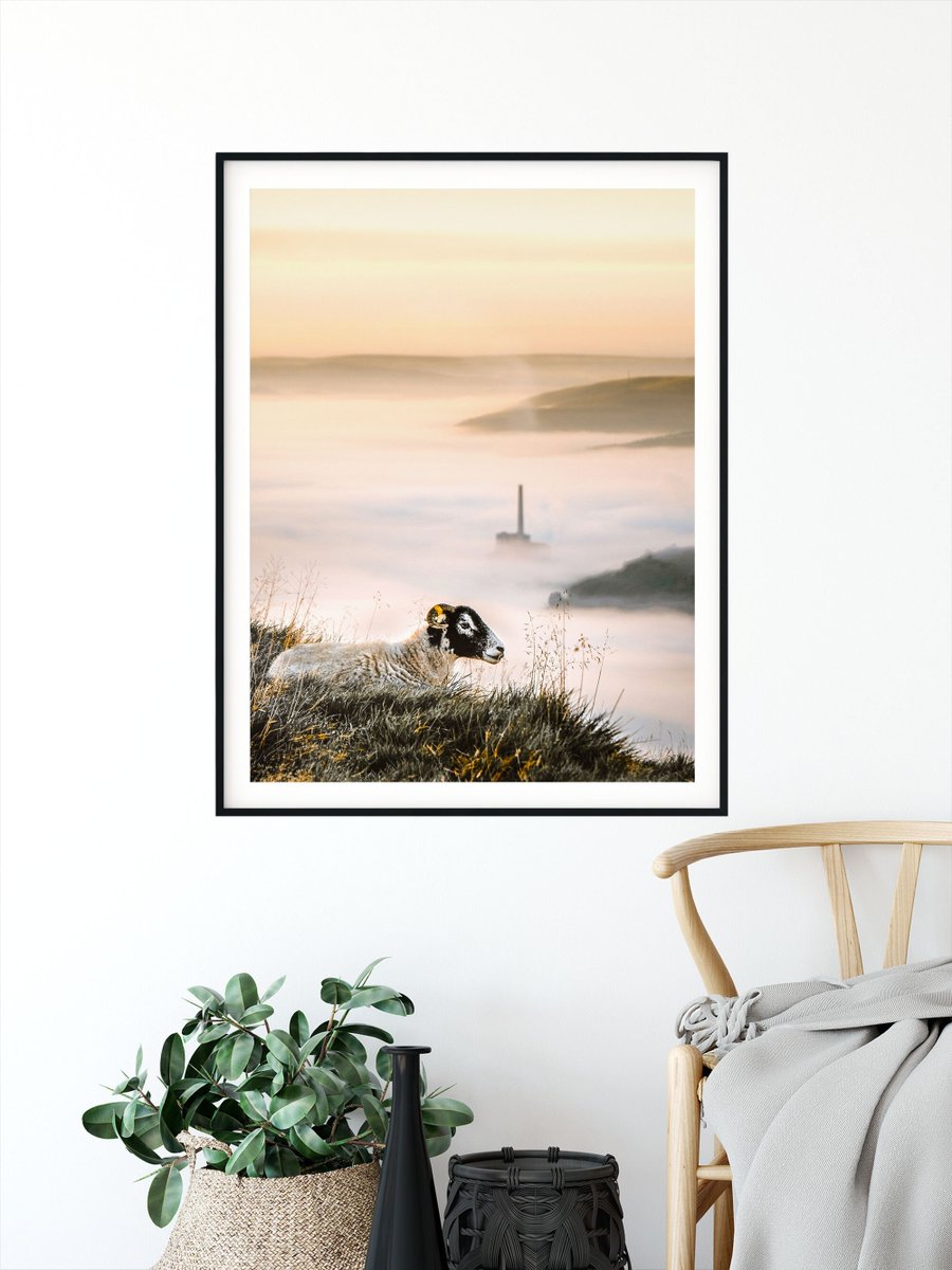 danscapephoto's tweet image. Sheep Print - Peak District Landscape in the UK Mam Tor Photo Poster Nature Photography Framed Picture Canvas Farm House Home Decor p.danscape.co/34J99Ww #Prints #Etsy #FramedArtwork